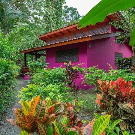 Colores Del Caribe Dependencia Del Hotel Casa Merlin Puerto Viejo de Talamanca Exterior photo