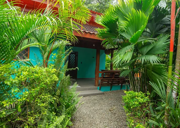 Colores Del Caribe Dependencia Del Hotel Casa Merlin