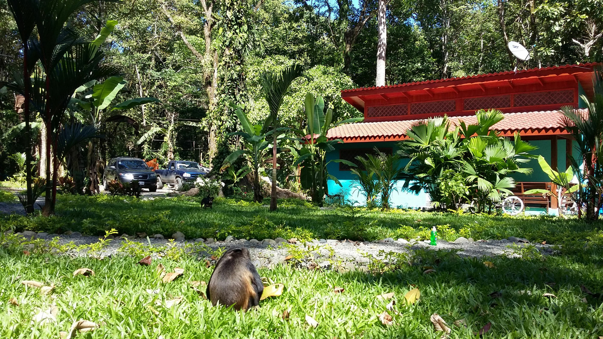 Holiday home Pina Dorada Dependencia Del Casa Merlin *